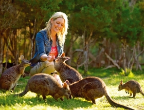 person with kangaroo